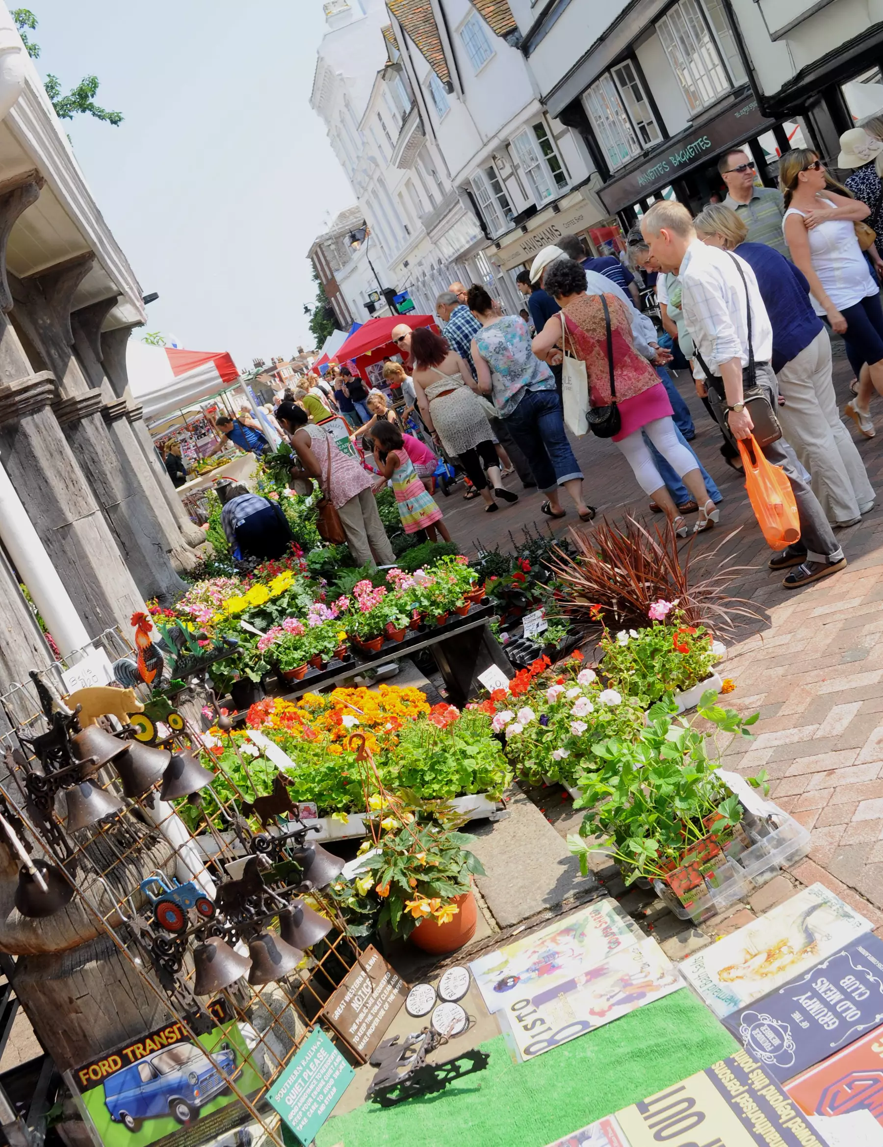 Plants, Guildhall.JPG